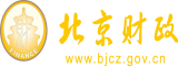 日本69xx17c北京市财政局