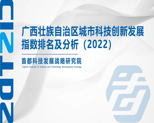 啊嗯...水～好多操骚【成果发布】广西壮族自治区城市科技创新发展指数排名及分析（2022）